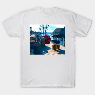 Peggy’s Cove, Nova Scotia T-Shirt